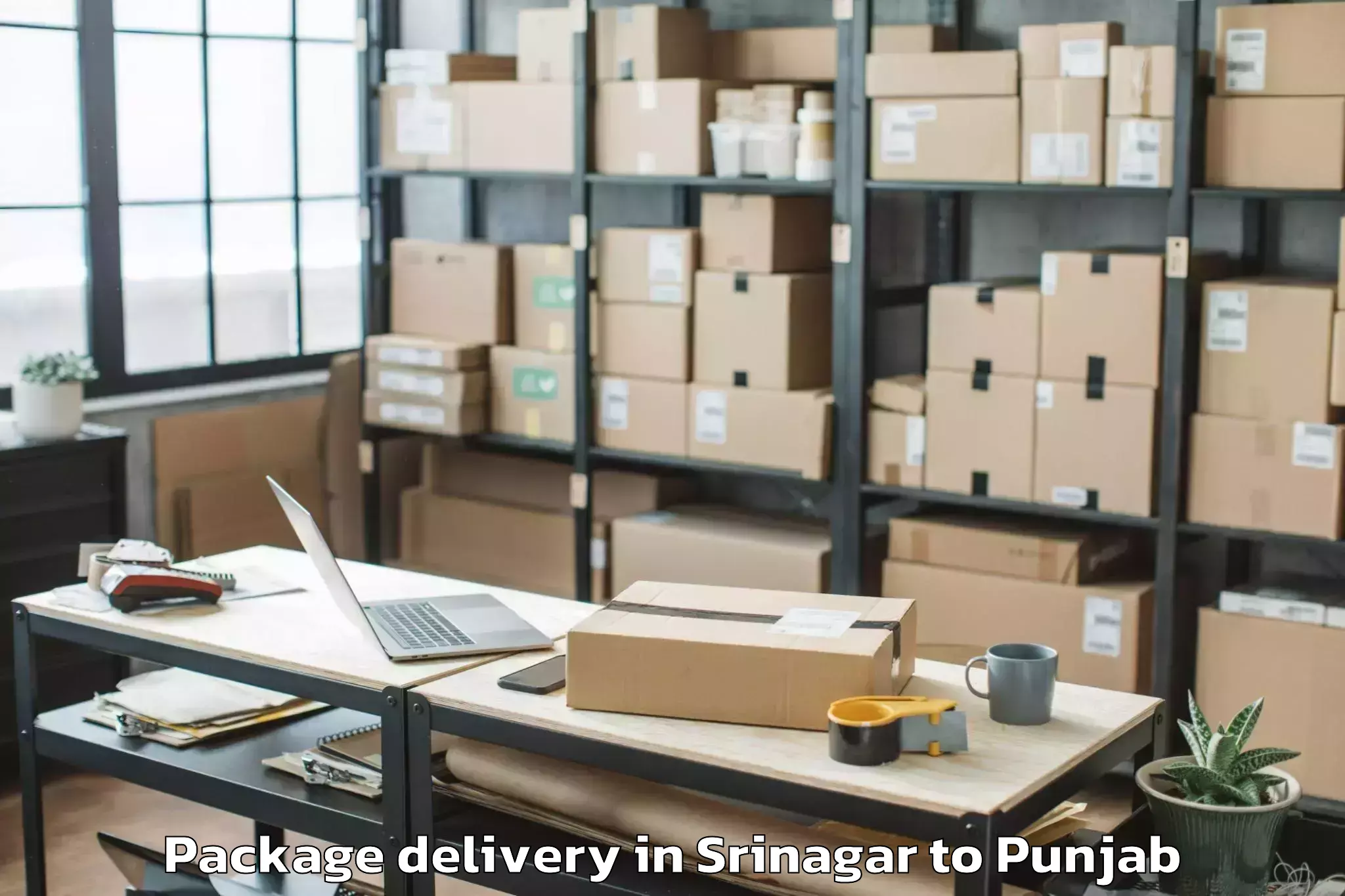 Srinagar to Mall Of Amritsar Alpha One Package Delivery Booking